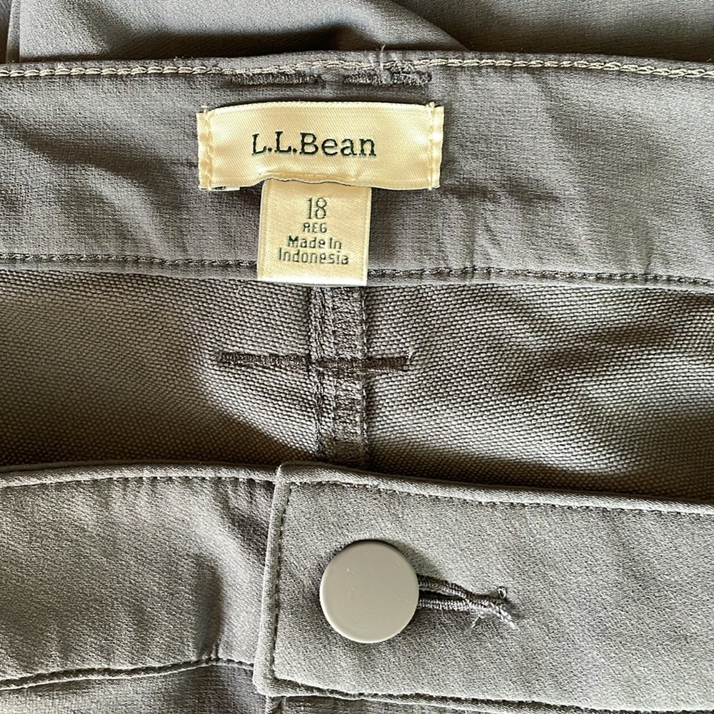 NWT. L. L. Bean 18 Slim Leg Stretch Outdoor Explore Pants. - Picture 4 of 11
